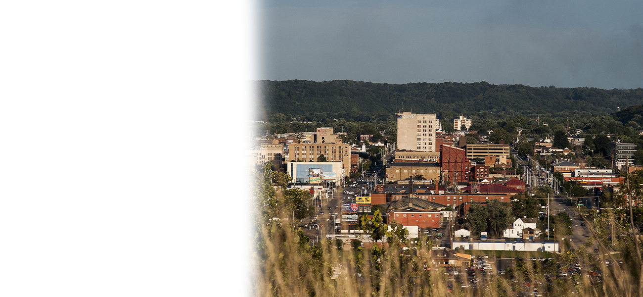 Roankoke City Skyline