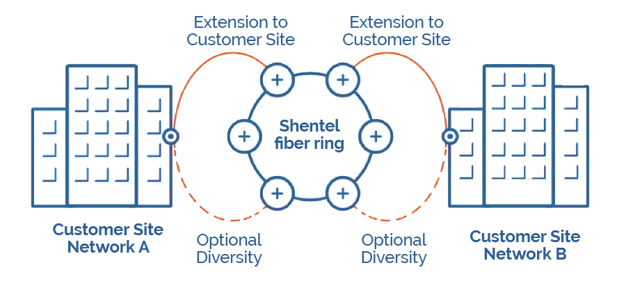 Diagram of Dark Fiber services